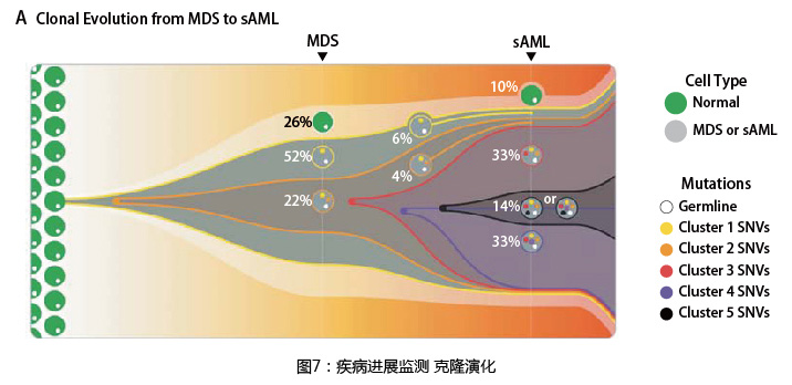 血液病基因检测